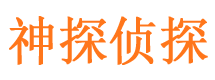 大东市侦探公司